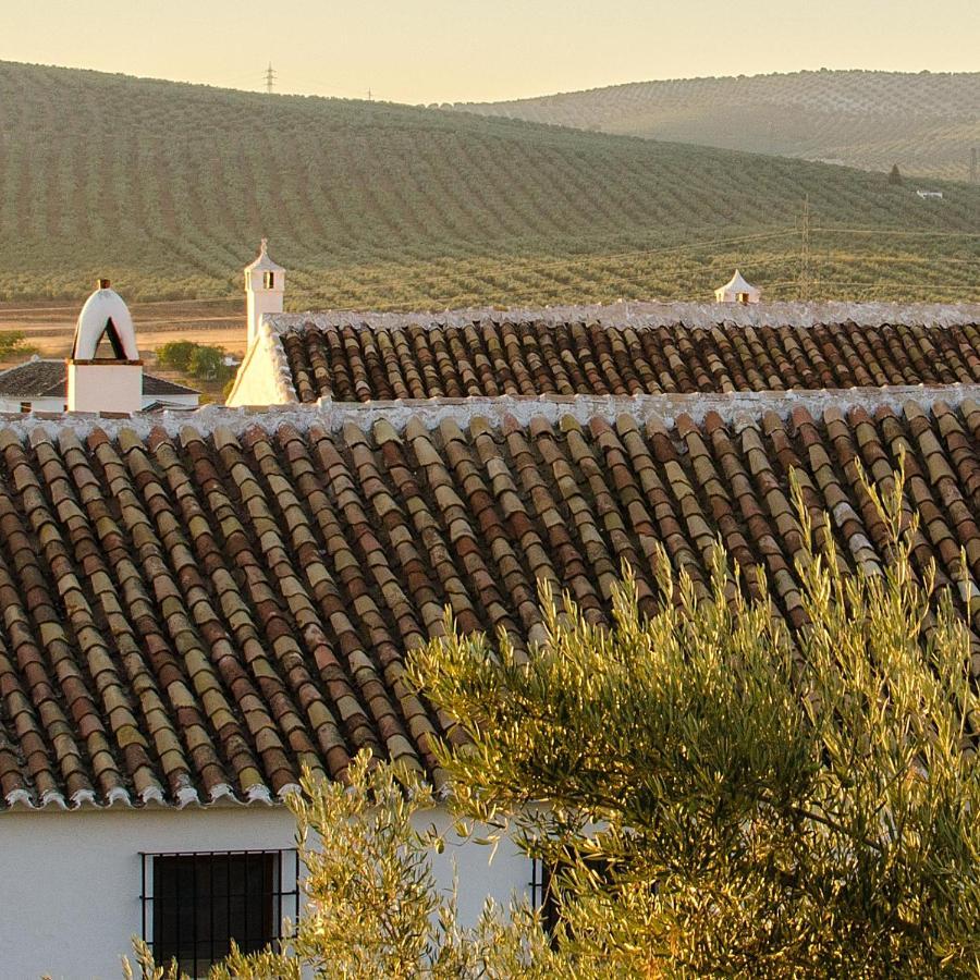 הוילה ארצ'ידונה Cortijo Alzamigaja מראה חיצוני תמונה
