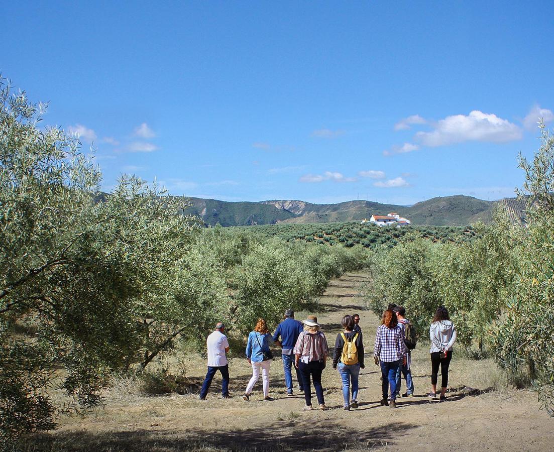הוילה ארצ'ידונה Cortijo Alzamigaja מראה חיצוני תמונה