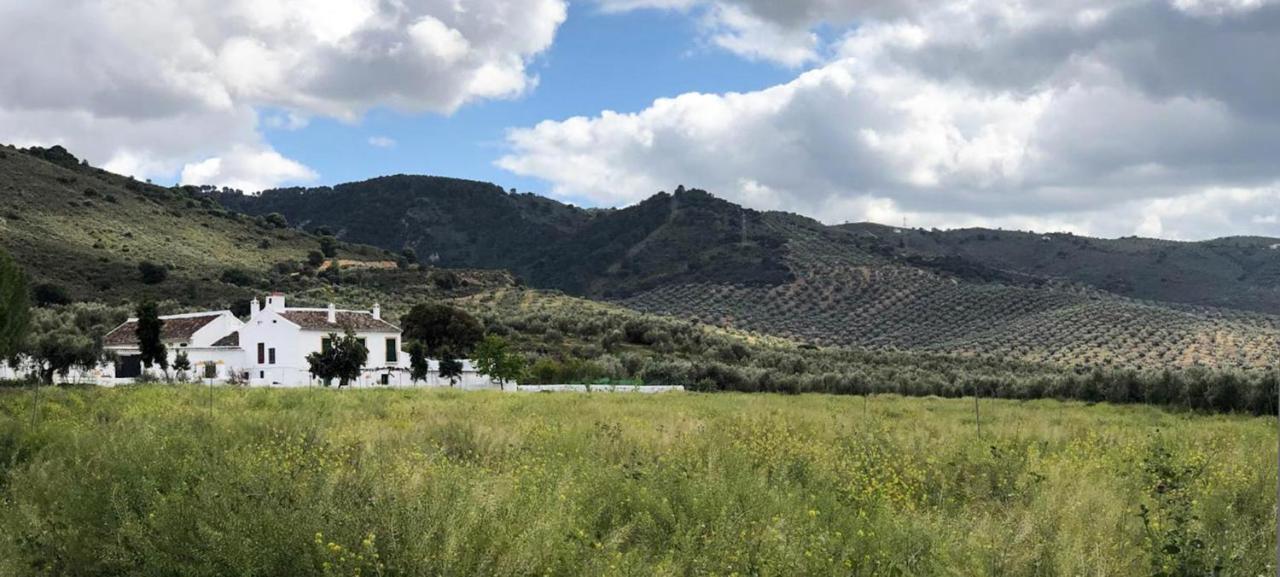 הוילה ארצ'ידונה Cortijo Alzamigaja מראה חיצוני תמונה