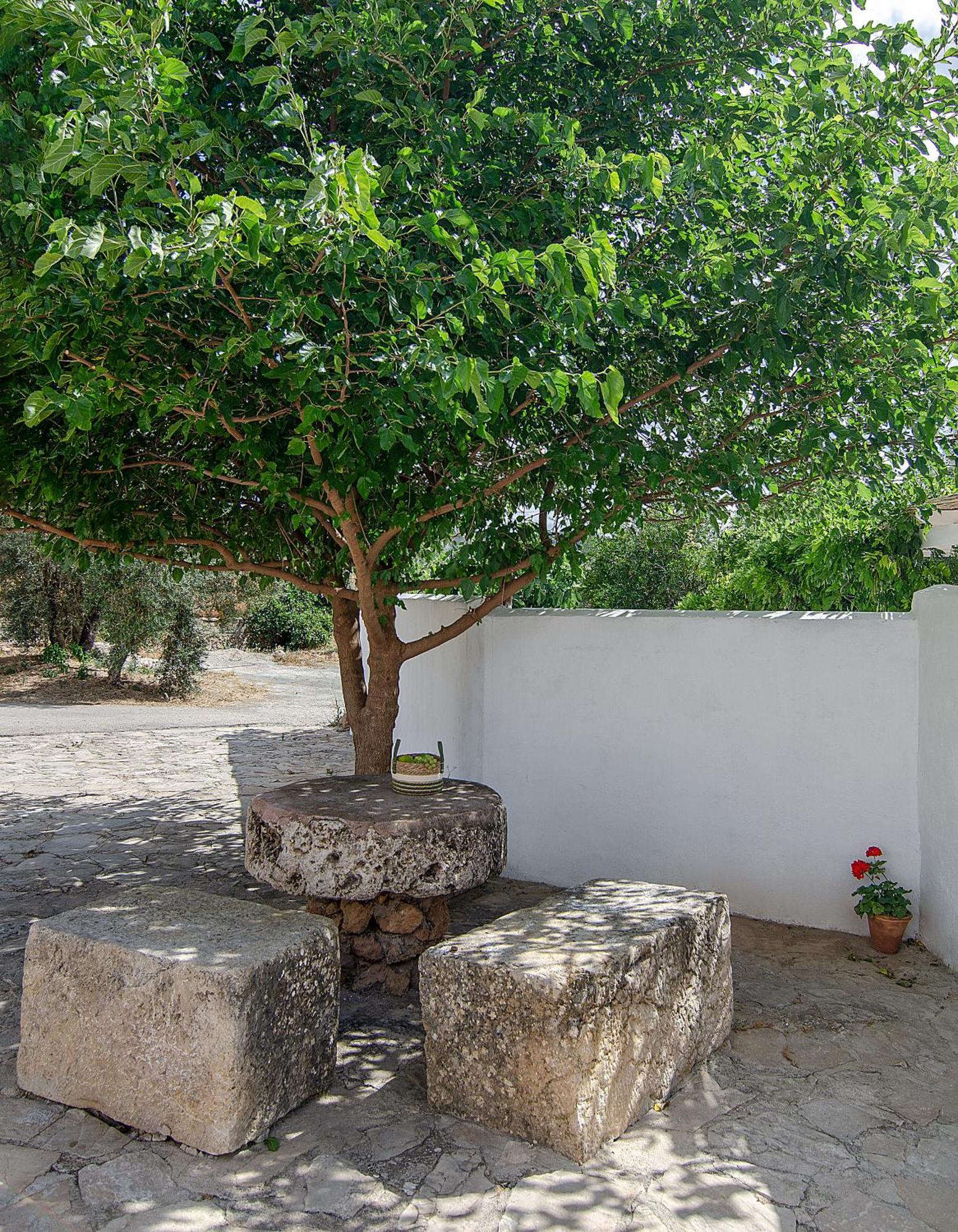הוילה ארצ'ידונה Cortijo Alzamigaja מראה חיצוני תמונה